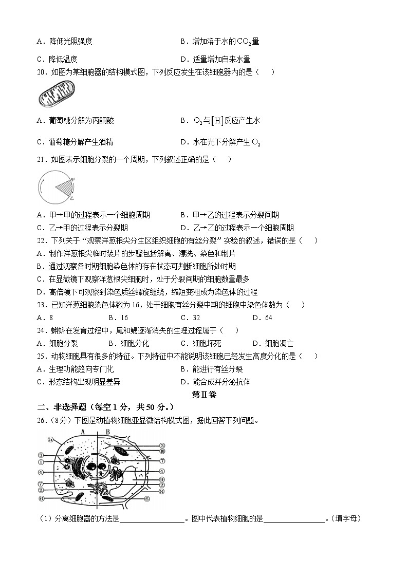 福建省三明市第一中学2024-2025学年高二上学期期中考试生物试题（学考班）第3页