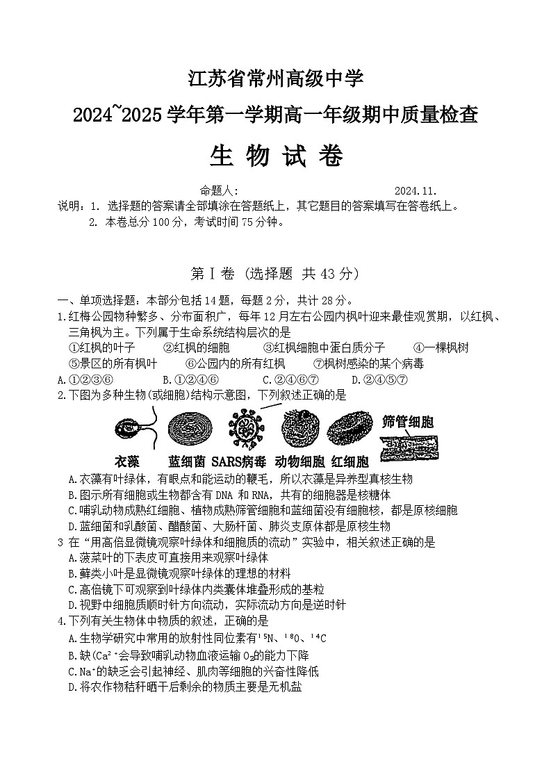 江苏省常州市天宁区江苏省常州高级中学2024-2025学年高一上学期期中生物试题第1页