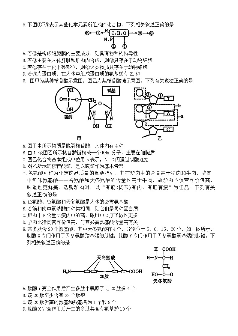 江苏省常州市天宁区江苏省常州高级中学2024-2025学年高一上学期期中生物试题第2页