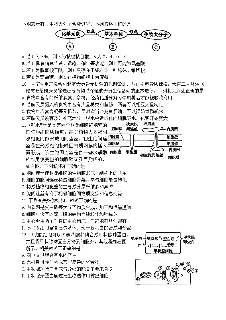 江苏省常州市天宁区江苏省常州高级中学2024-2025学年高一上学期期中生物试题第3页