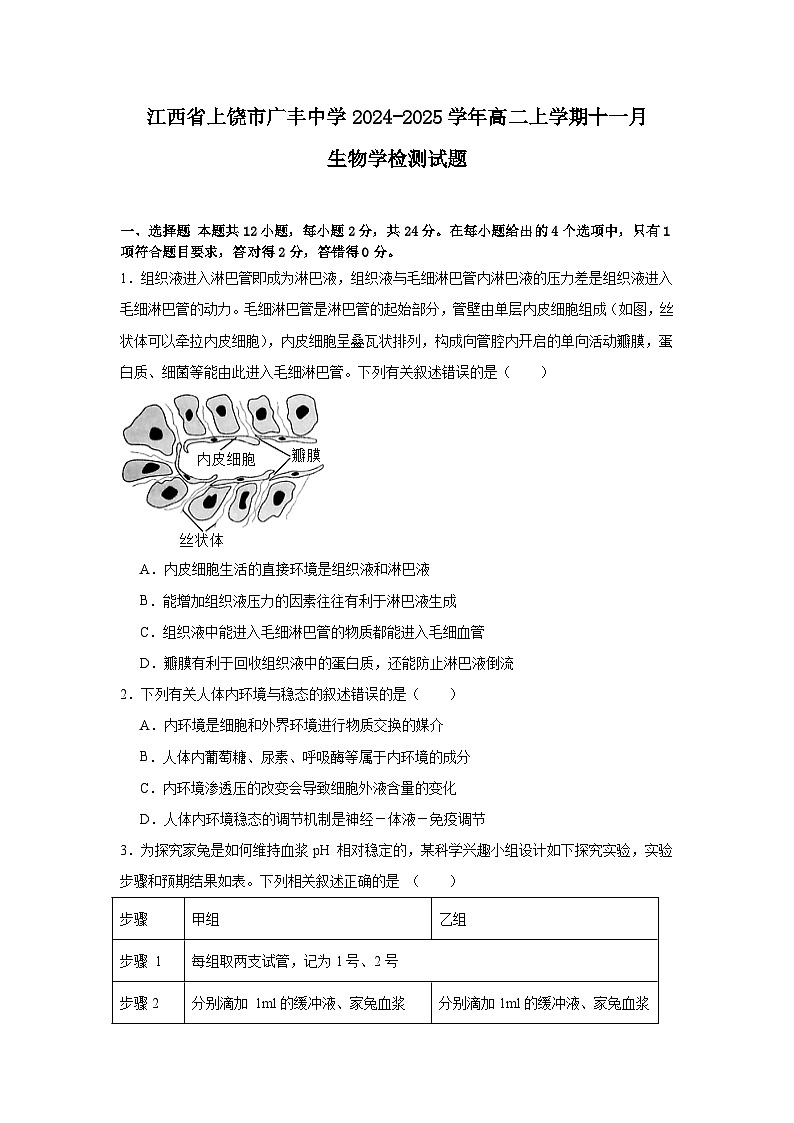 江西省上饶市广丰中学2024-2025学年高二上学期11月生物学检测试题第1页