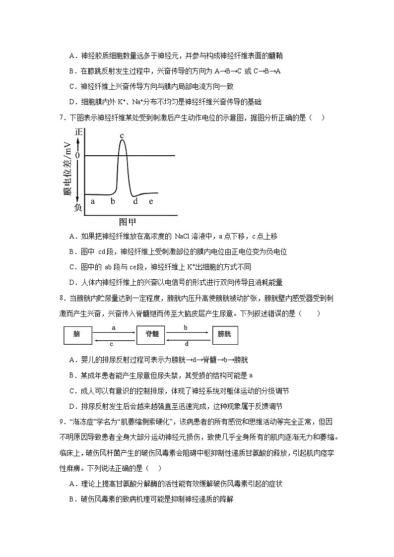 江西省上饶市广丰中学2024-2025学年高二上学期11月生物学检测试题第3页