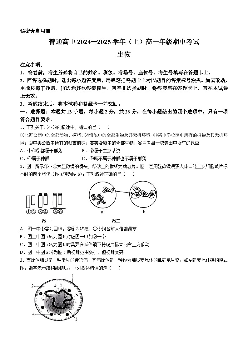 河南省驻马店市2024-2025学年高一上学期期中考试生物试卷第1页