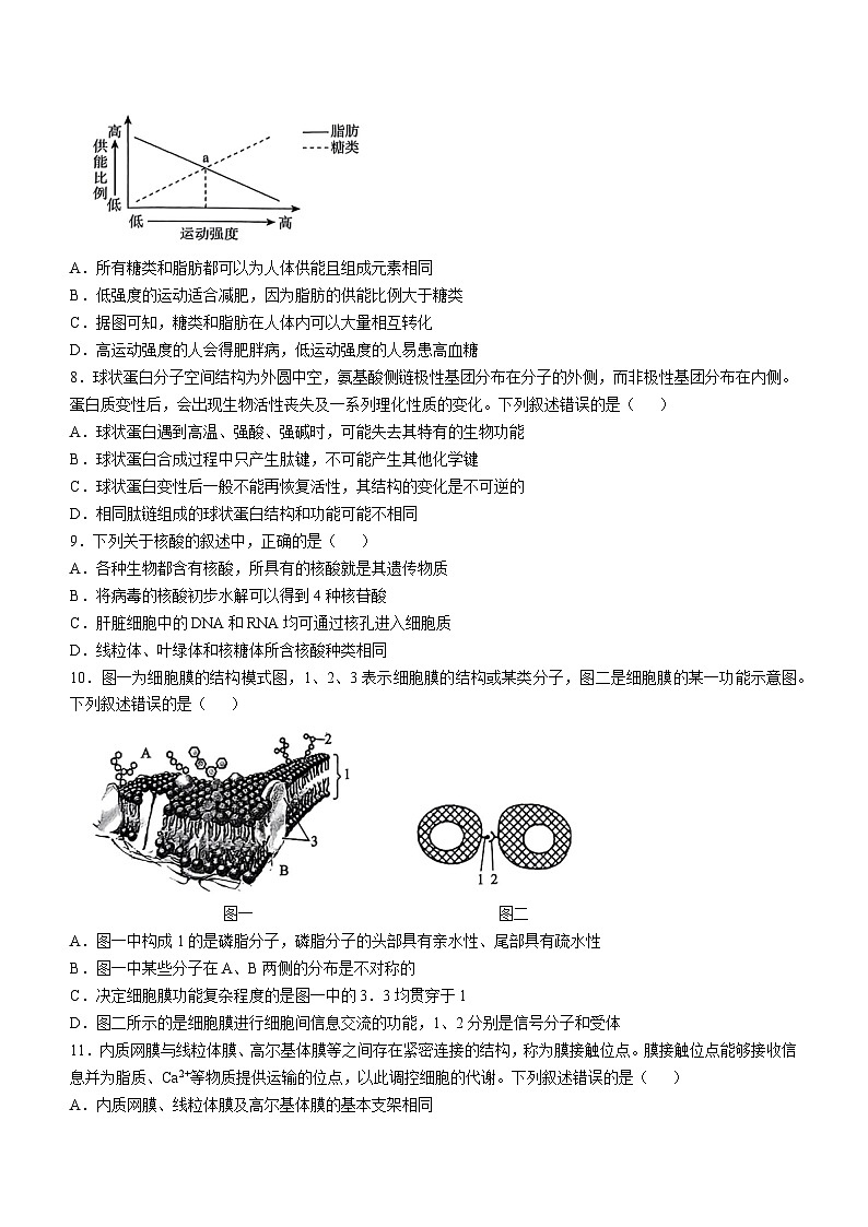 河南省驻马店市2024-2025学年高一上学期期中考试生物试卷第3页