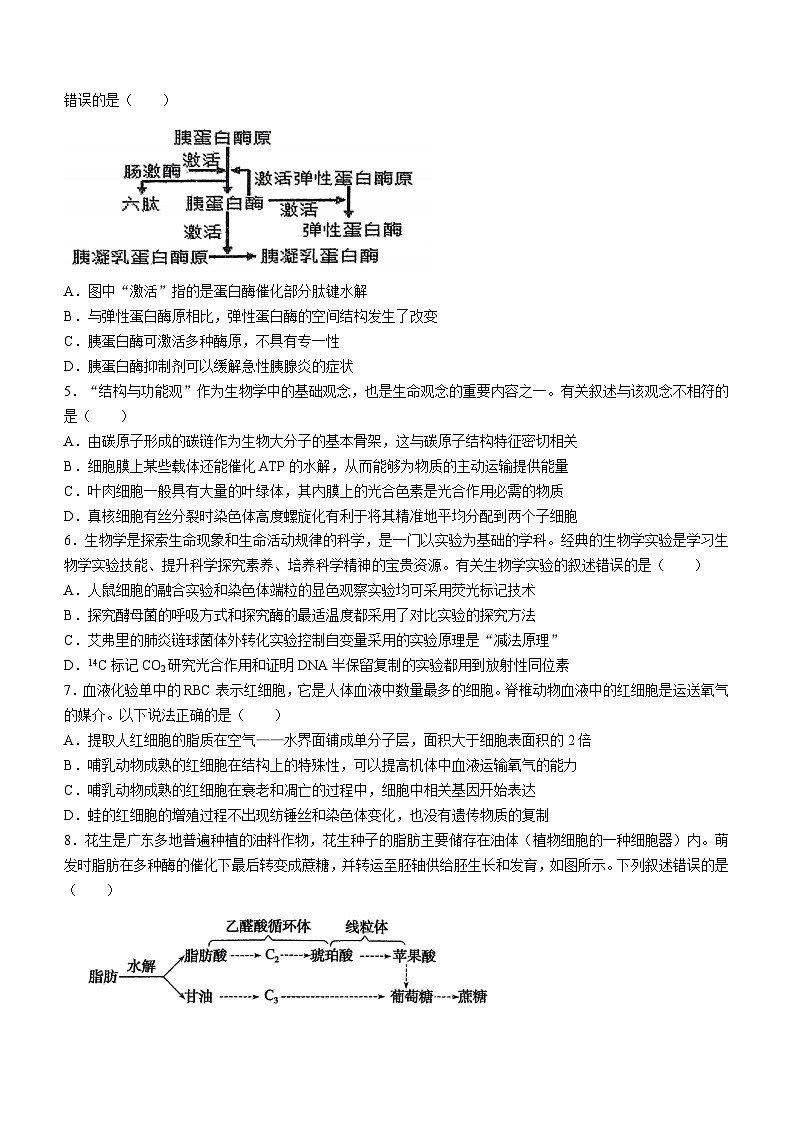 广东省揭阳市惠来县惠来县第一中学2024-2025学年高三上学期11月期中生物试题02