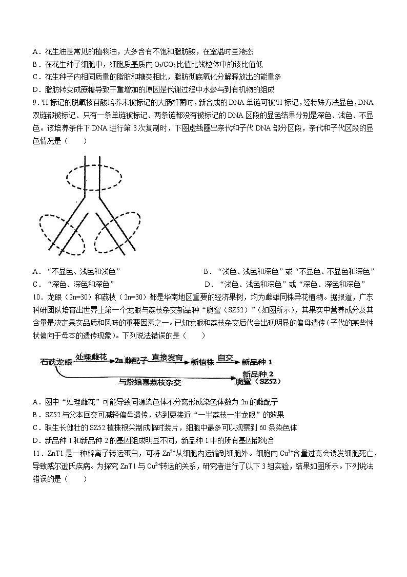 广东省揭阳市惠来县惠来县第一中学2024-2025学年高三上学期11月期中生物试题03