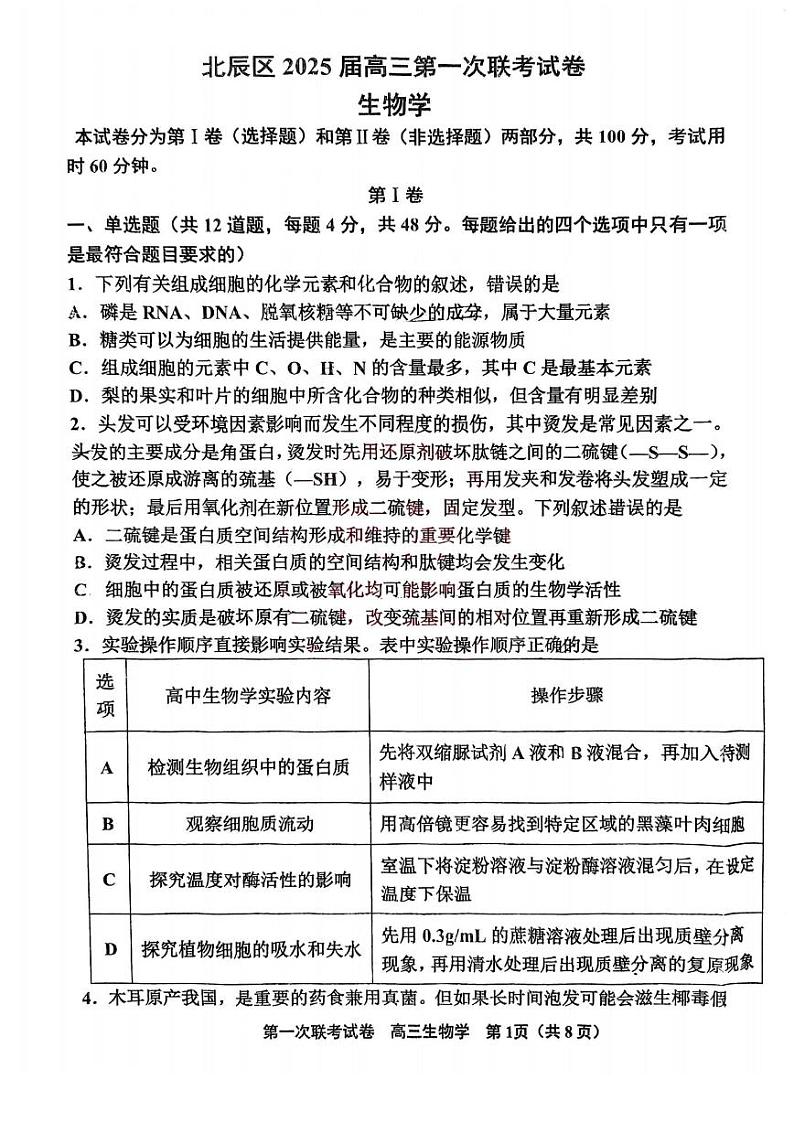天津市北辰区2024-2025学年高三上学期11月期中生物试题（含答案）01