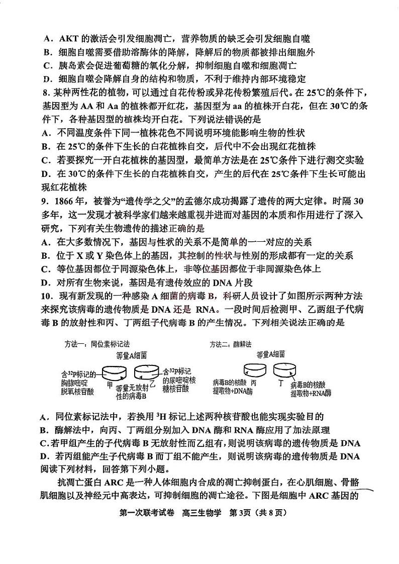 天津市北辰区2024-2025学年高三上学期11月期中生物试题（含答案）03
