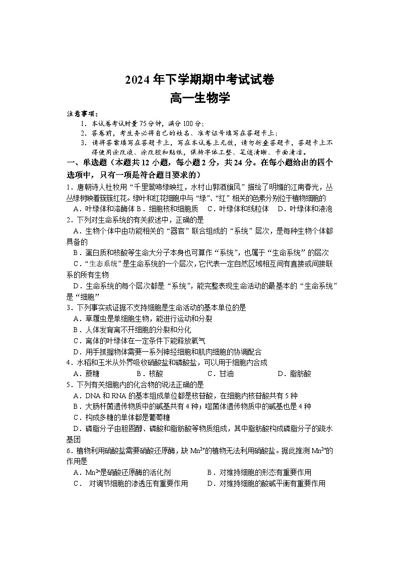 湖南省邵阳市武冈市2024-2025学年高一上学期期中考试生物试题第1页