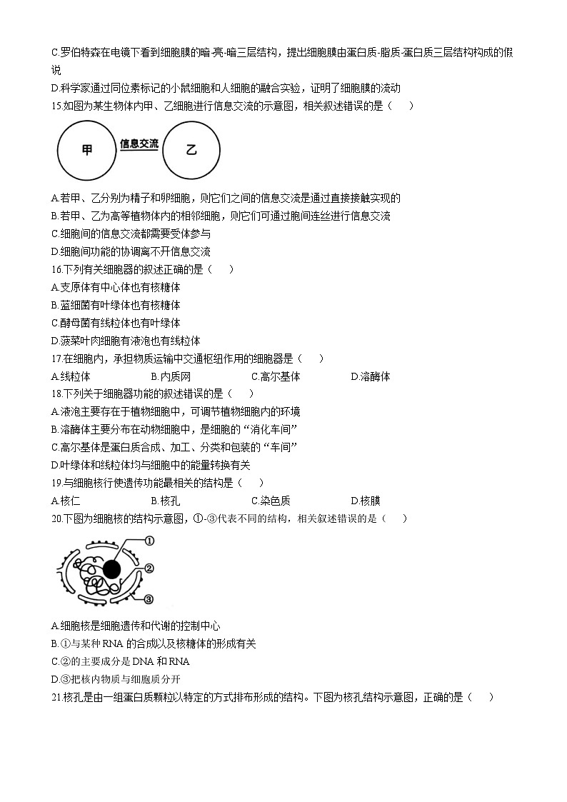 2025镇江高一上学期11月期中考试生物含答案第3页