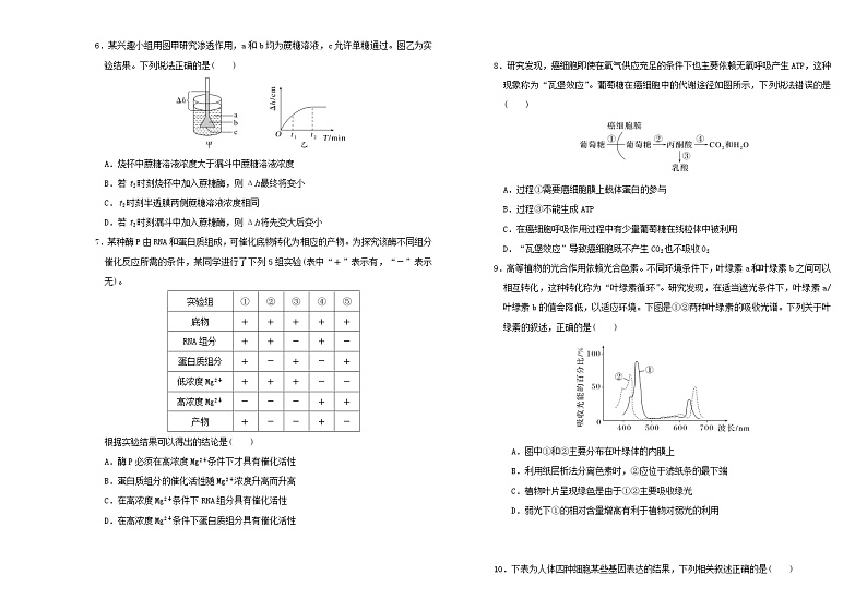 吉林省长春市2023_2024学年高三生物上学期期中试题第2页