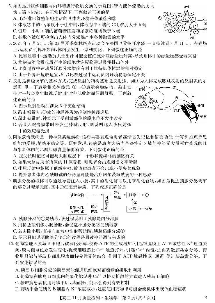 生物-高二11月质量检测 （人教版）第2页