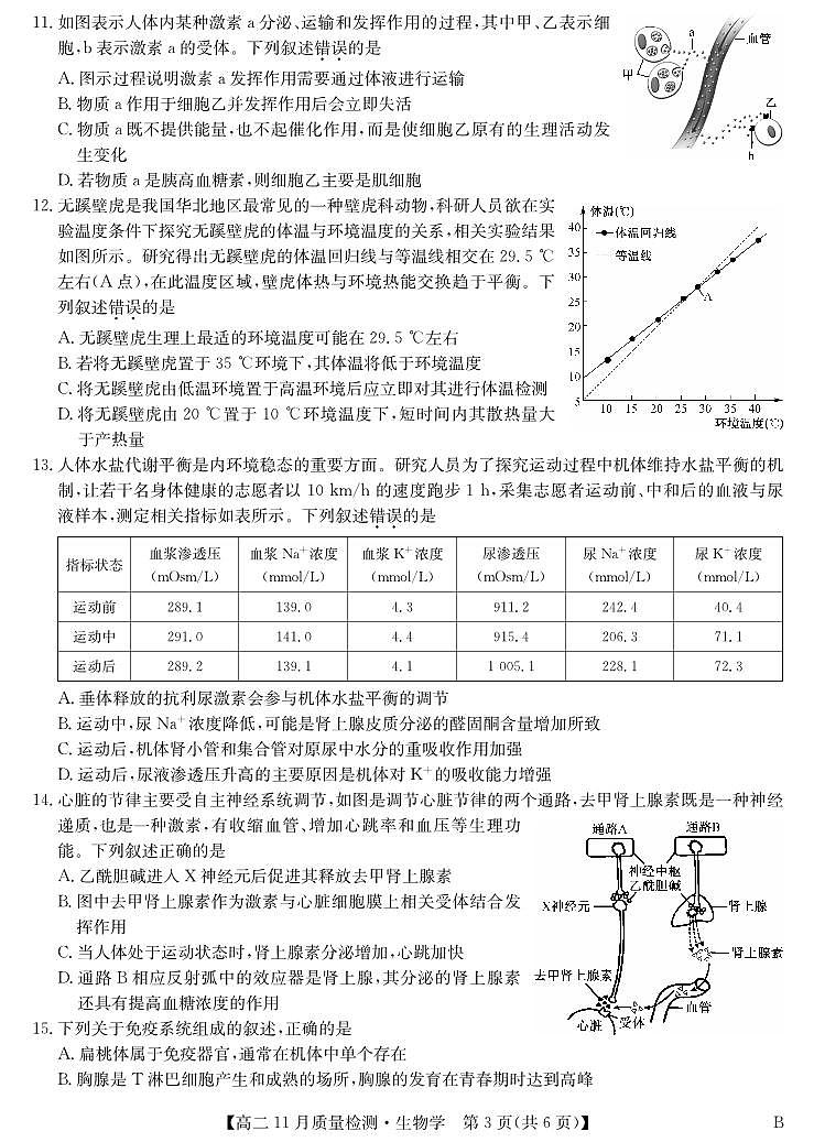 生物-高二11月质量检测 （人教版）第3页