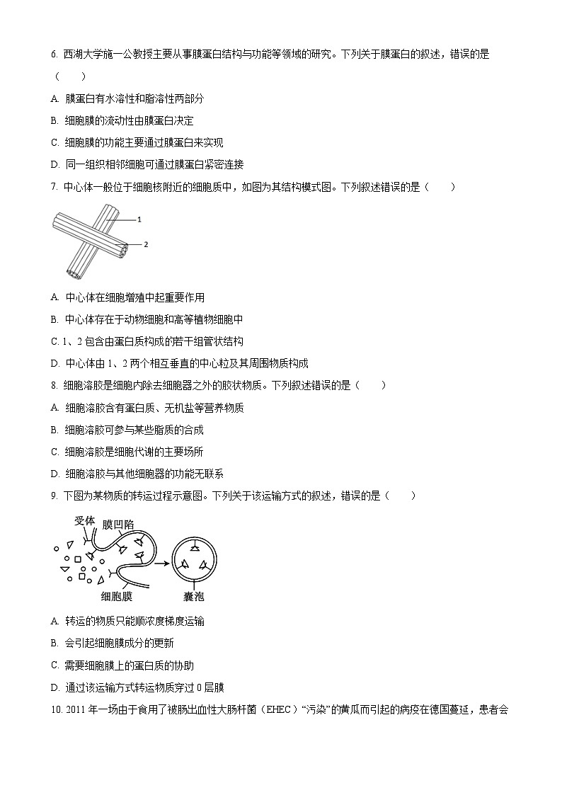 浙江省9+1 高中联盟2024-2025学年高一上学期期中考试生物试卷02