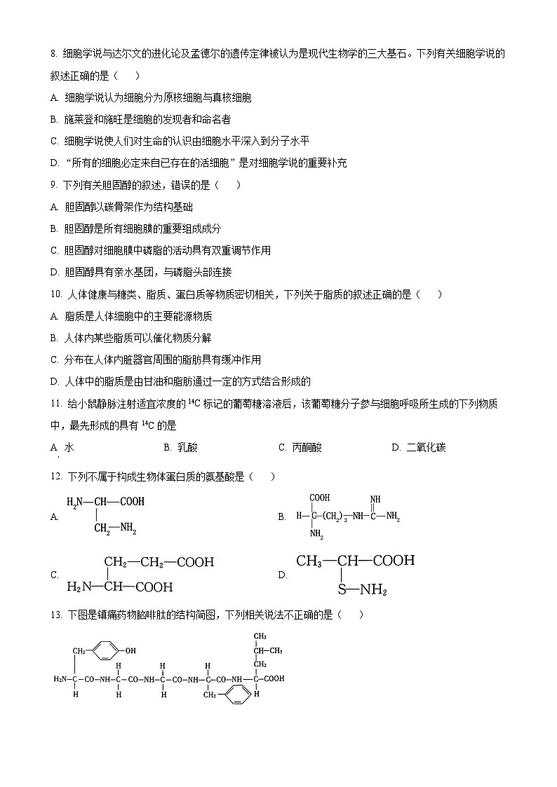 浙江省金华市第一中学2024-2025学年高一上学期期中考试生物试卷 Word版无答案第2页