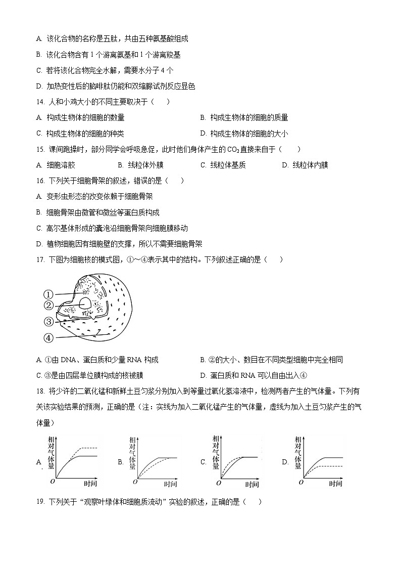 浙江省金华市第一中学2024-2025学年高一上学期期中考试生物试卷 Word版无答案第3页