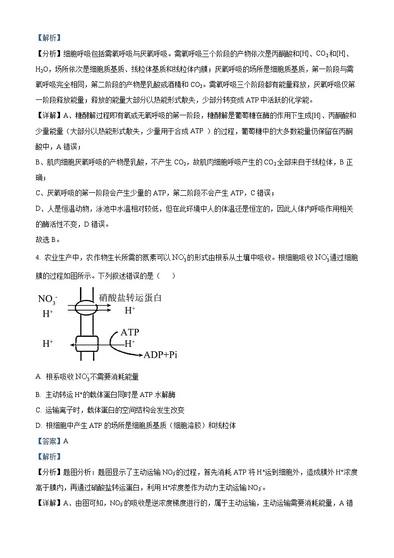 浙江省湖州市A9协作体2024—2025学年高二上学期期中考试生物试题 Word版含解析第3页