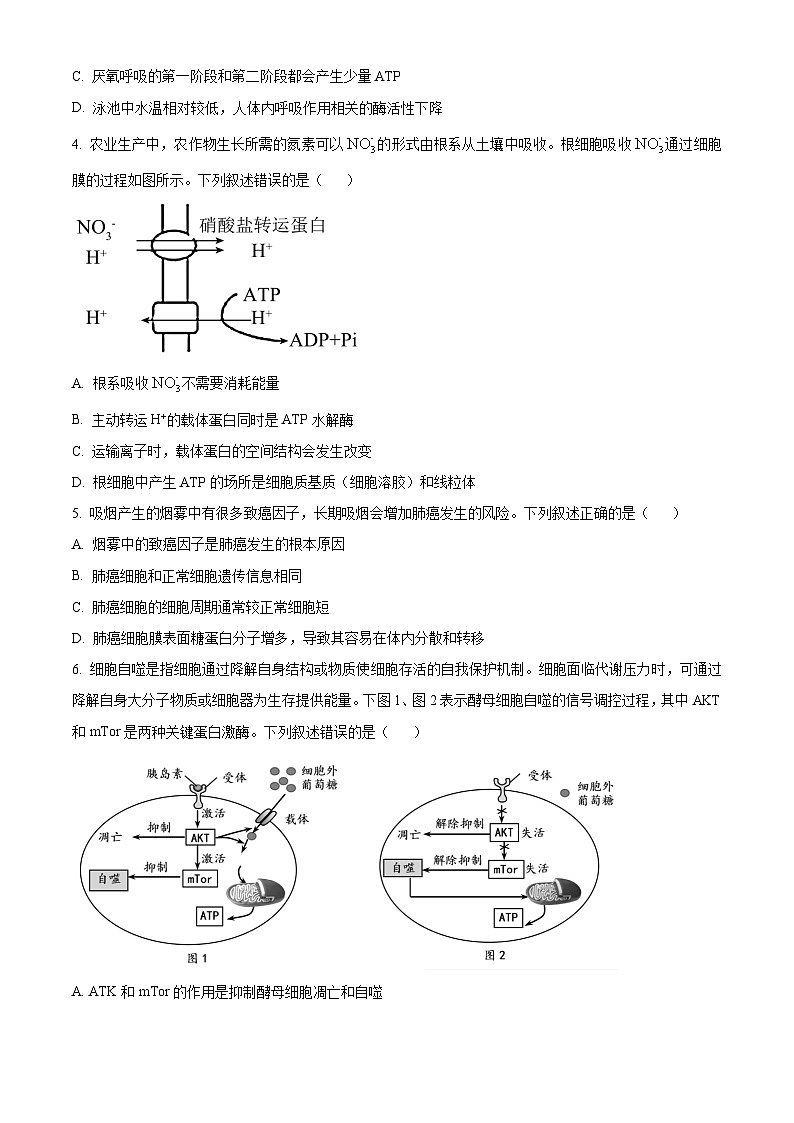 浙江省湖州市A9协作体2024—2025学年高二上学期期中考试生物试题 Word版无答案第2页