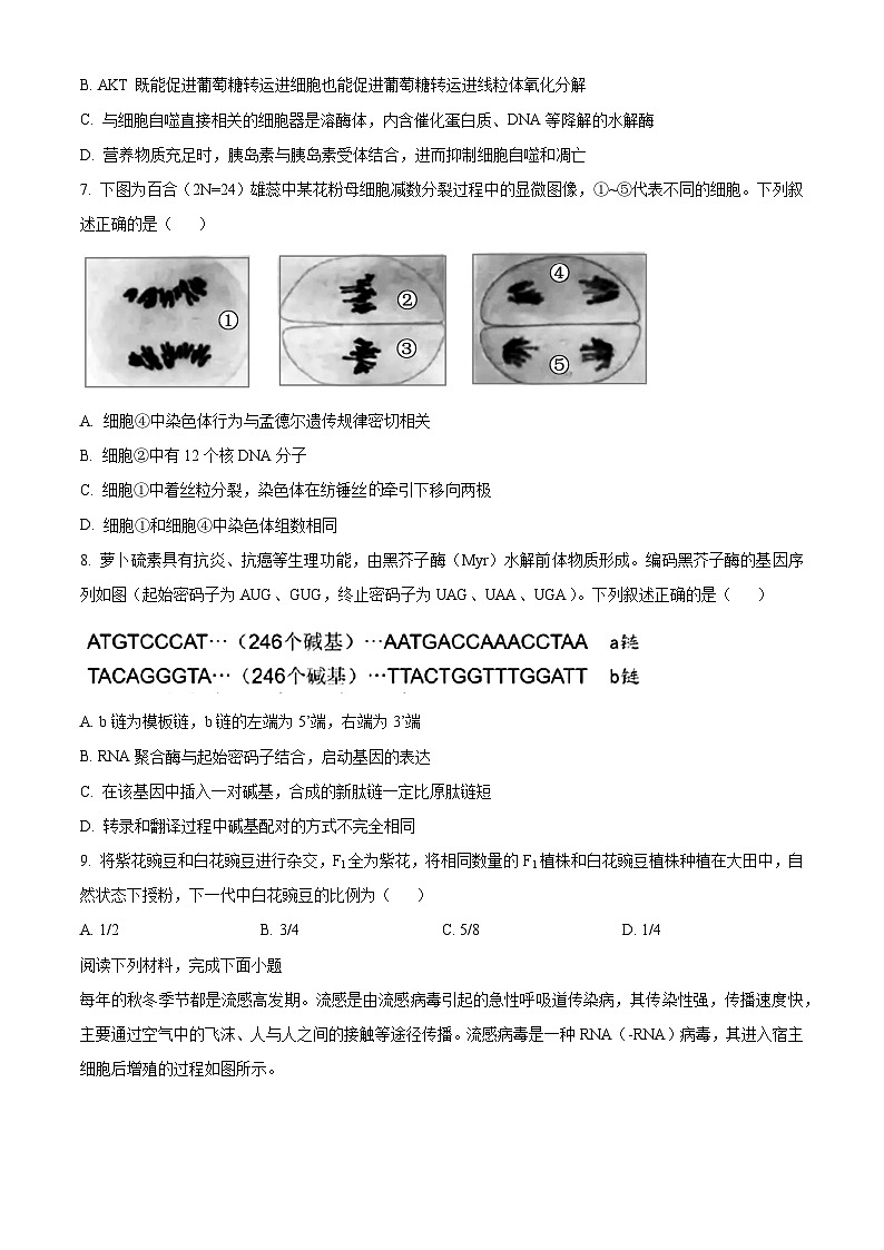 浙江省湖州市A9协作体2024—2025学年高二上学期期中考试生物试题 Word版无答案第3页