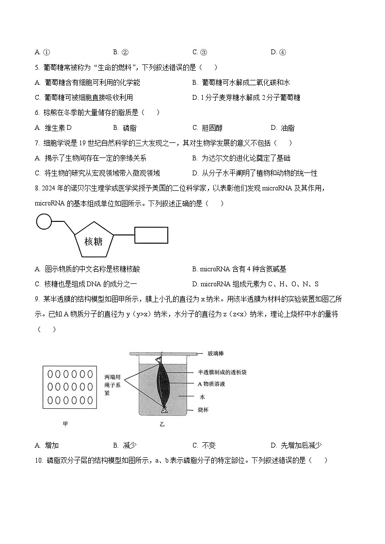 浙江省杭州市浙里特色联盟2024-2025学年高一上学期11月期中生物试题 Word版无答案第2页
