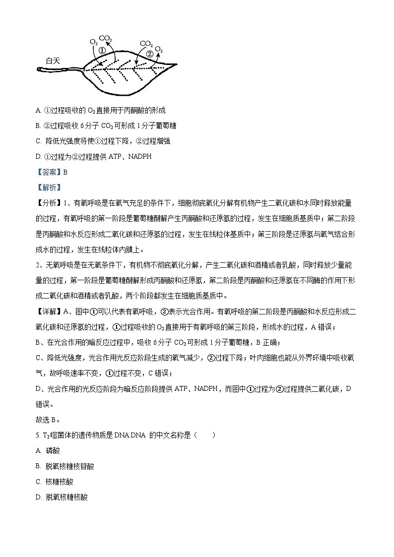 浙江省杭州第二中学2024-2025学年高一上学期期中考试生物试卷 Word版含解析第3页