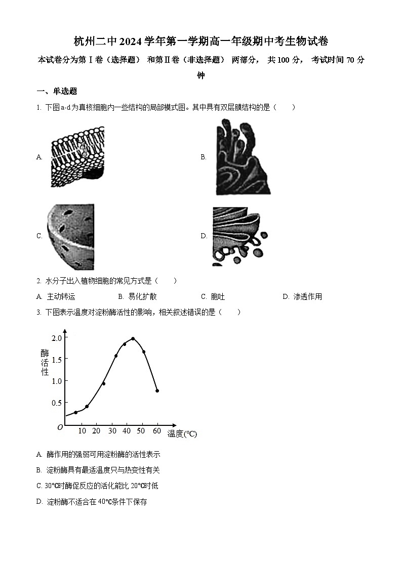 浙江省杭州第二中学2024-2025学年高一上学期期中考试生物试卷 Word版无答案第1页