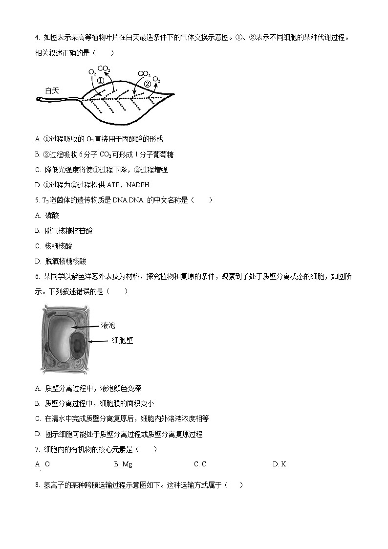 浙江省杭州第二中学2024-2025学年高一上学期期中考试生物试卷 Word版无答案第2页