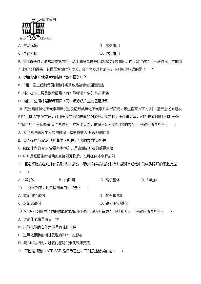 浙江省杭州第二中学2024-2025学年高一上学期期中考试生物试卷 Word版无答案第3页