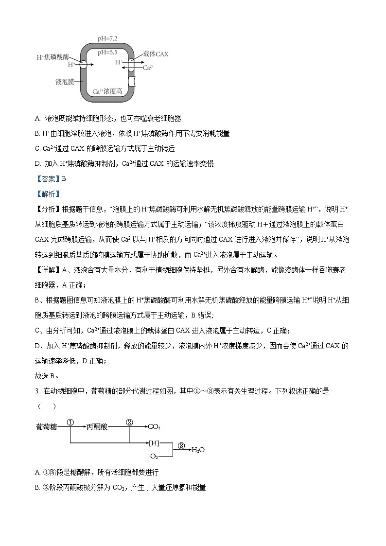 浙江省杭州市等4地2024-2025学年高二上学期11月期中生物试题 Word版含解析第2页