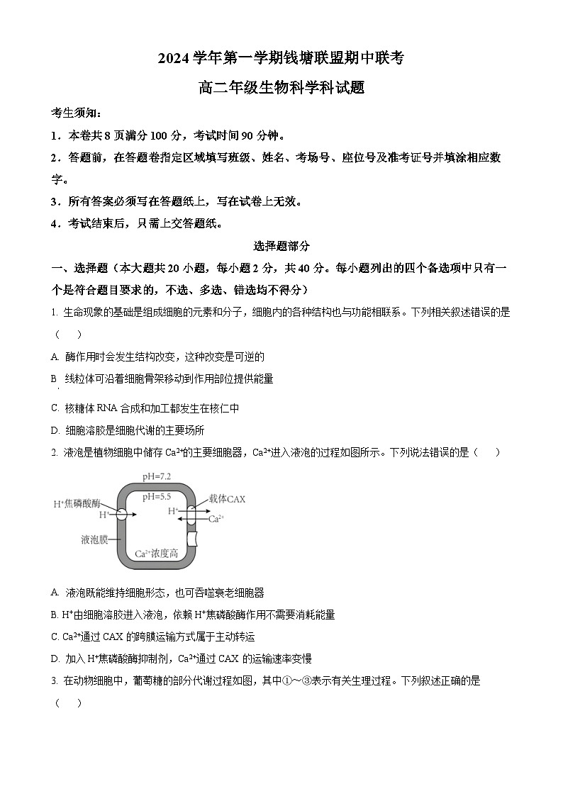 浙江省杭州市等4地2024-2025学年高二上学期11月期中生物试题 Word版无答案第1页