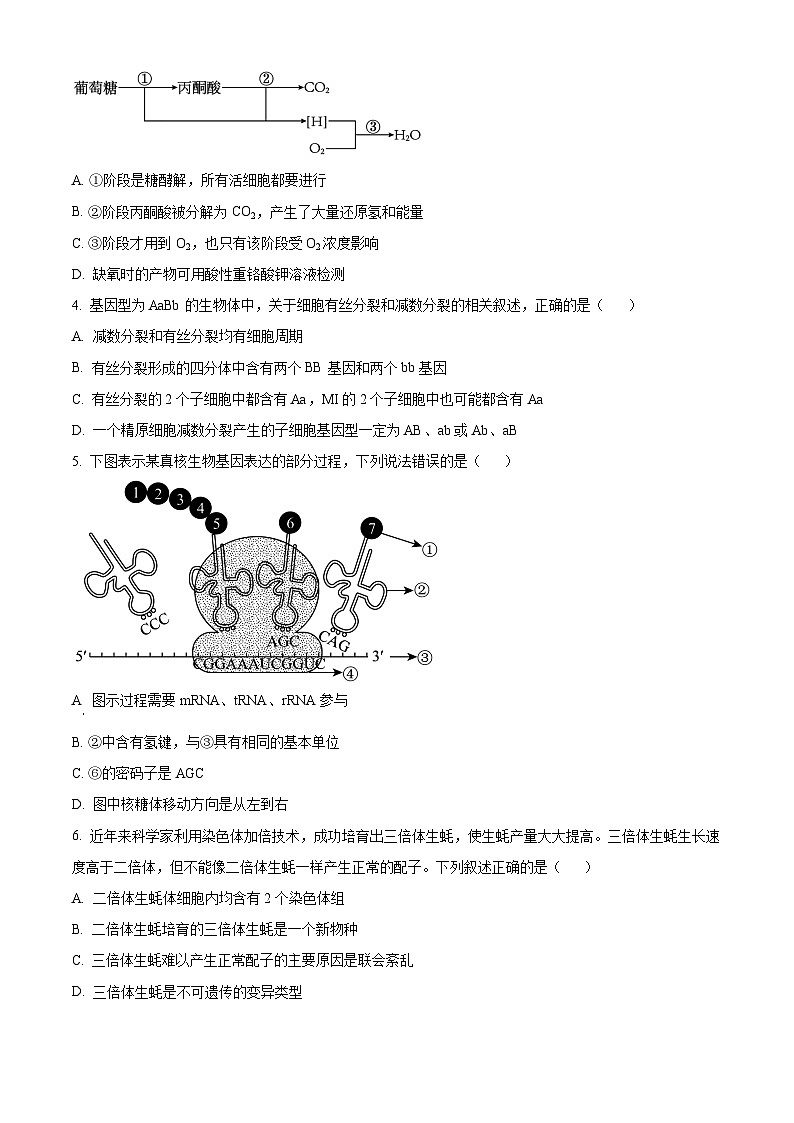浙江省杭州市等4地2024-2025学年高二上学期11月期中生物试题 Word版无答案第2页