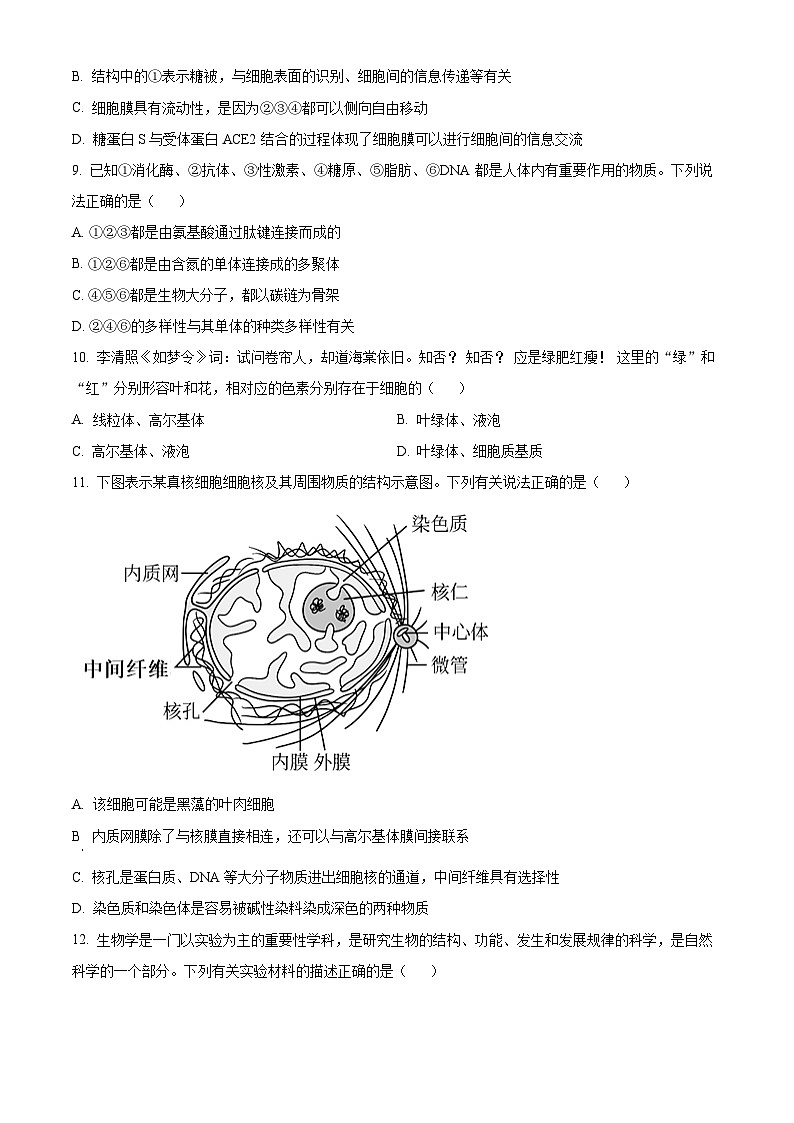 河北省邯郸市2024-2025学年高一上学期11月期中考试生物试卷（Word版附解析）03