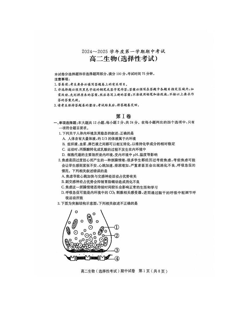 广东省茂名市电白区2024-2025学年高二上学期期中考试生物试卷（PDF版附答案）第1页