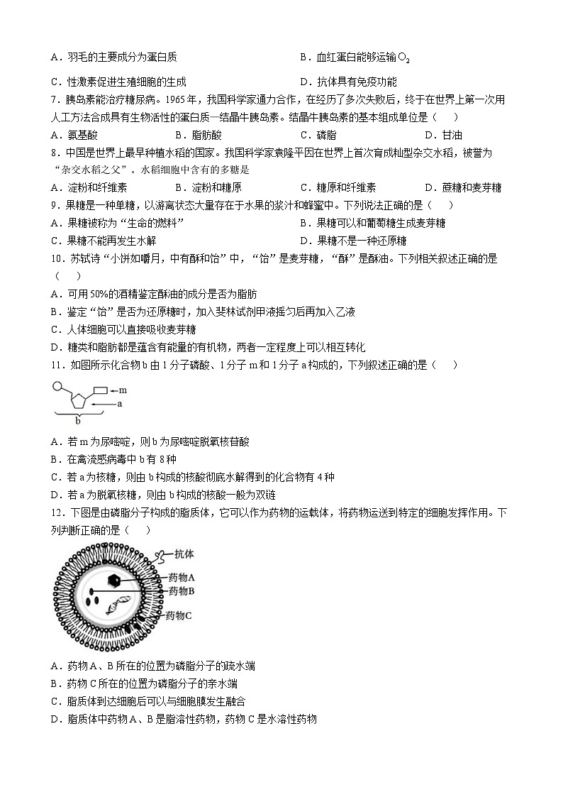 贵州省黔东南苗族侗族自治州榕江县榕江实验高级中学2024-2025学年高一上学期11月期中生物试题第2页