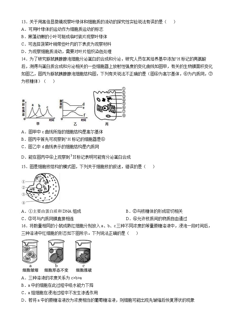 贵州省黔东南苗族侗族自治州榕江县榕江实验高级中学2024-2025学年高一上学期11月期中生物试题第3页