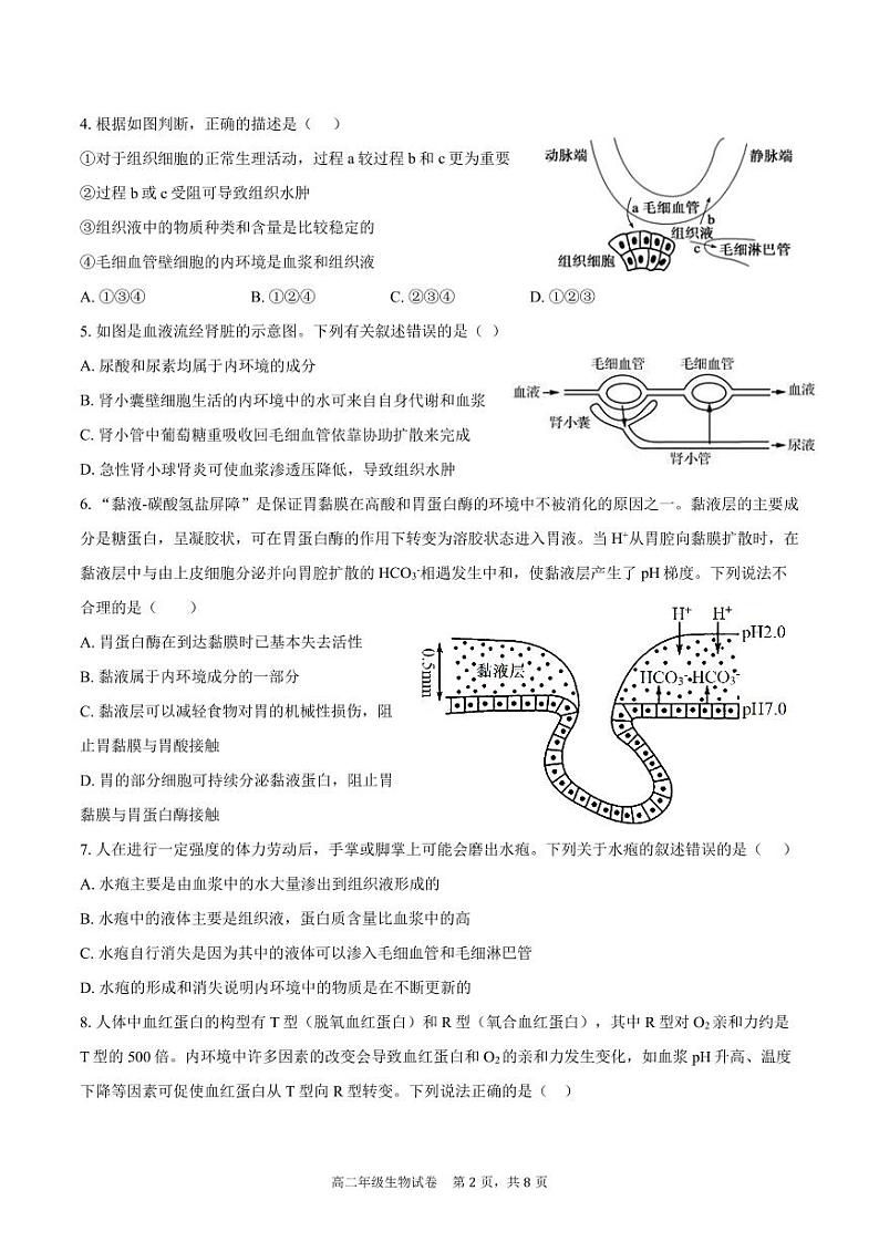 安徽省合肥市六校联盟2024-2025学年高二上学期11月期中考试生物试卷（PDF版附解析）第2页