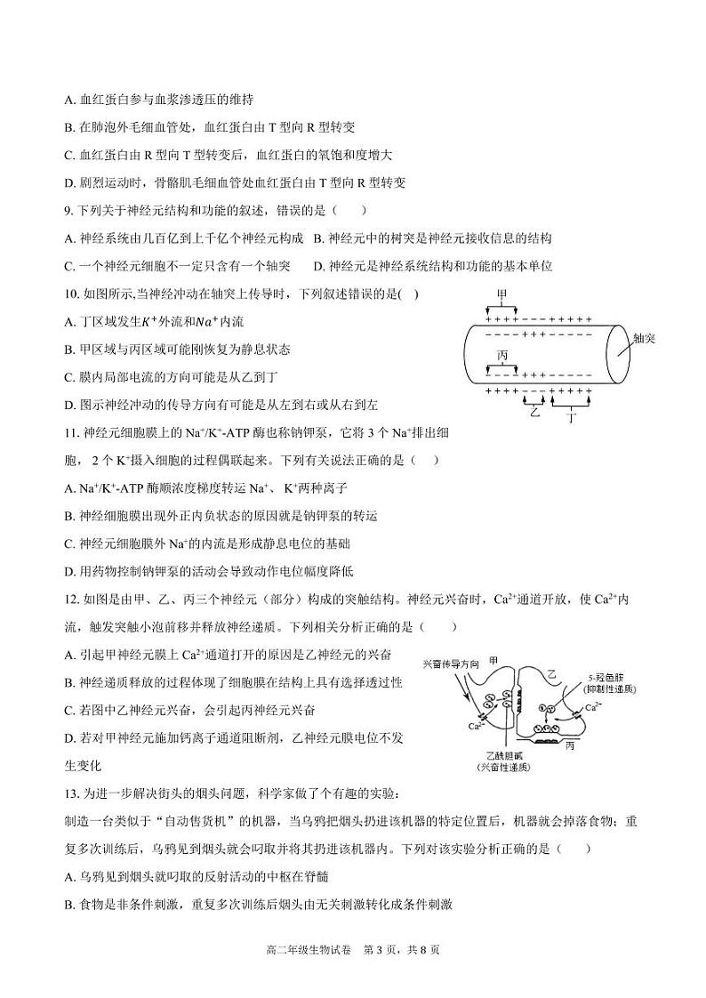 安徽省合肥市六校联盟2024-2025学年高二上学期11月期中考试生物试卷（PDF版附解析）第3页