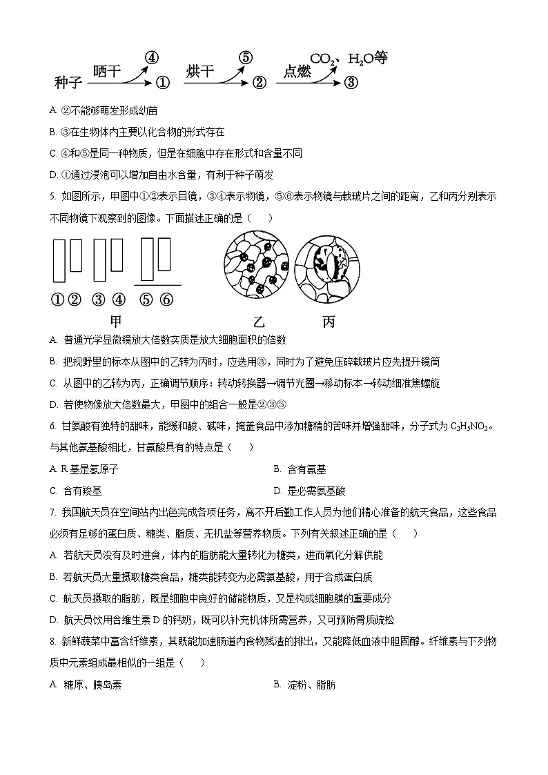安徽省滁州市九校联考2024-2025学年高一上学期11月期中考试生物试卷（Word版附解析）第2页
