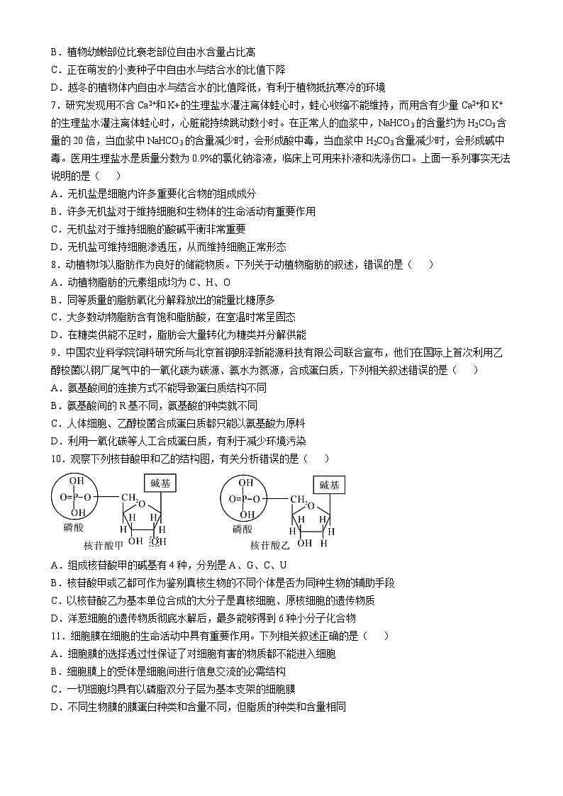 安徽省蚌埠市A层高中2024-2025学年高一上学期11月期中考试生物试卷（Word版附答案）第2页
