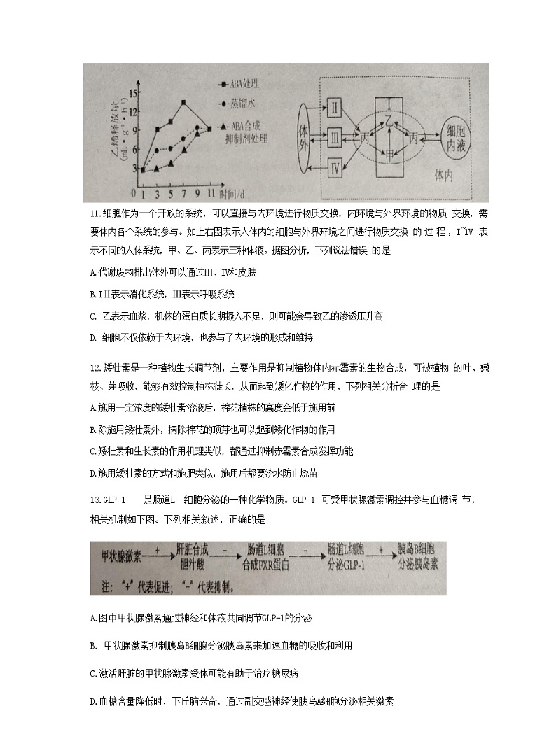广东省汕头市潮阳一中明光学校2024-2025学年高二上学期11月期中生物试题第3页