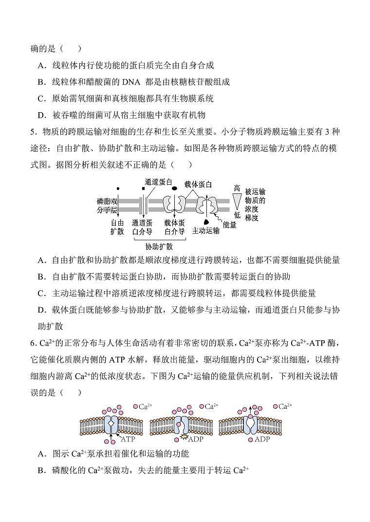 2025届陕西省西安中学高三上学期11月第二次月考-生物试题+答案第2页