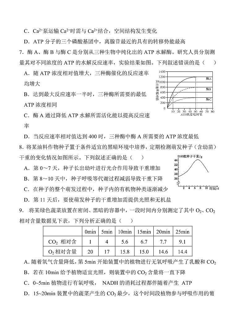 2025届陕西省西安中学高三上学期11月第二次月考-生物试题+答案第3页