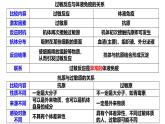 1.1 种群的数量特征-2024-2025学年高二生物同步高效教学课件（人教版2019选择性必修2）