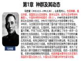 1.1 种群的数量特征-2024-2025学年高二生物同步高效教学课件（人教版2019选择性必修2）