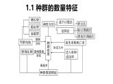 1.1 种群的数量特征-2024-2025学年高二生物同步高效教学课件（人教版2019选择性必修2）