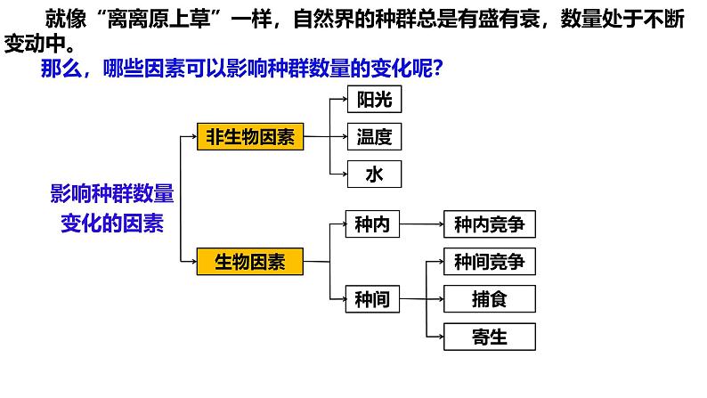 1.3 影响种群数量变化的因素-2024-2025学年高二生物同步高效教学课件（人教版2019选择性必修2）第4页