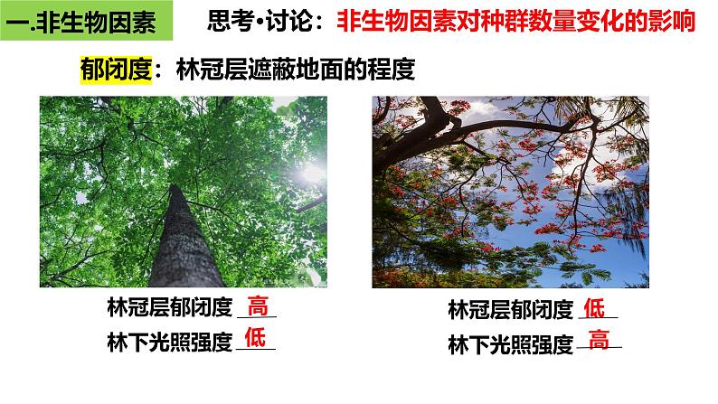 1.3 影响种群数量变化的因素-2024-2025学年高二生物同步高效教学课件（人教版2019选择性必修2）第5页