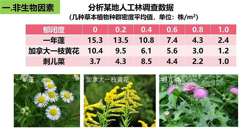 1.3 影响种群数量变化的因素-2024-2025学年高二生物同步高效教学课件（人教版2019选择性必修2）第6页