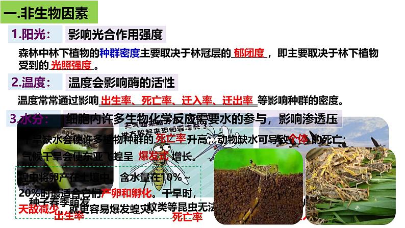 1.3 影响种群数量变化的因素-2024-2025学年高二生物同步高效教学课件（人教版2019选择性必修2）第8页