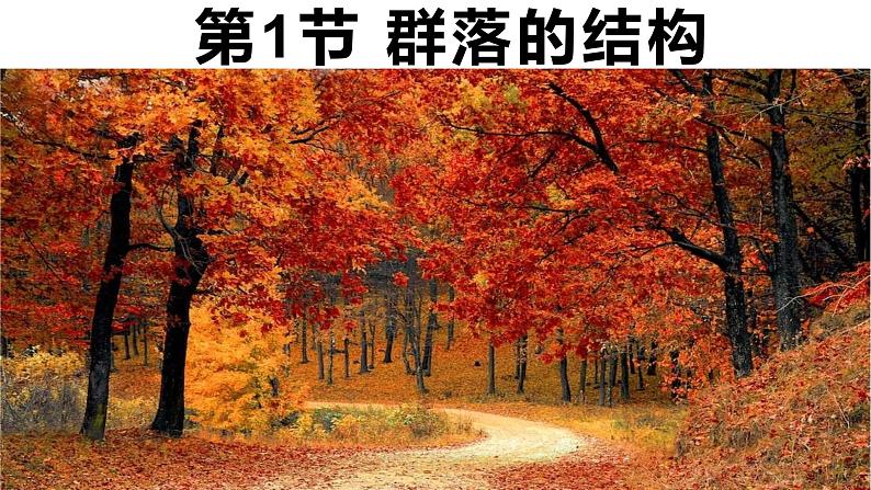 2.1群落的结构-2024-2025学年高二生物同步高效教学课件（人教版2019选择性必修2）第1页